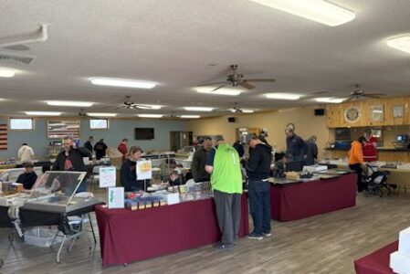 Card Show Tour: St. Francis Card Show